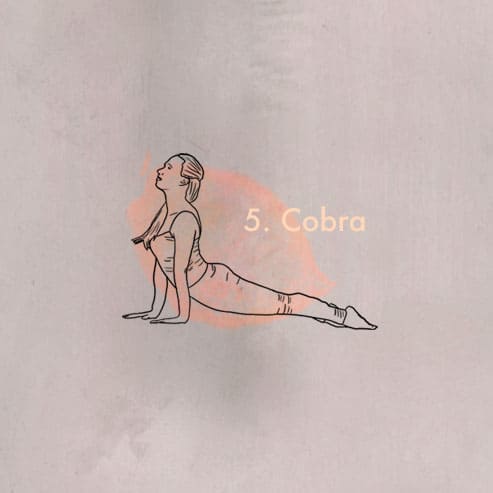 Illustration einer Frau welche die Cobra Yoga Position