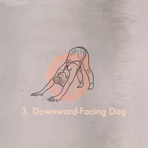 Illustration einer Frau welche die downward facing dog Yoga Position