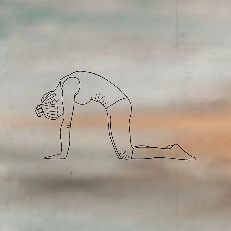 Illustration of a woman, doing the pilates excercice cat hump