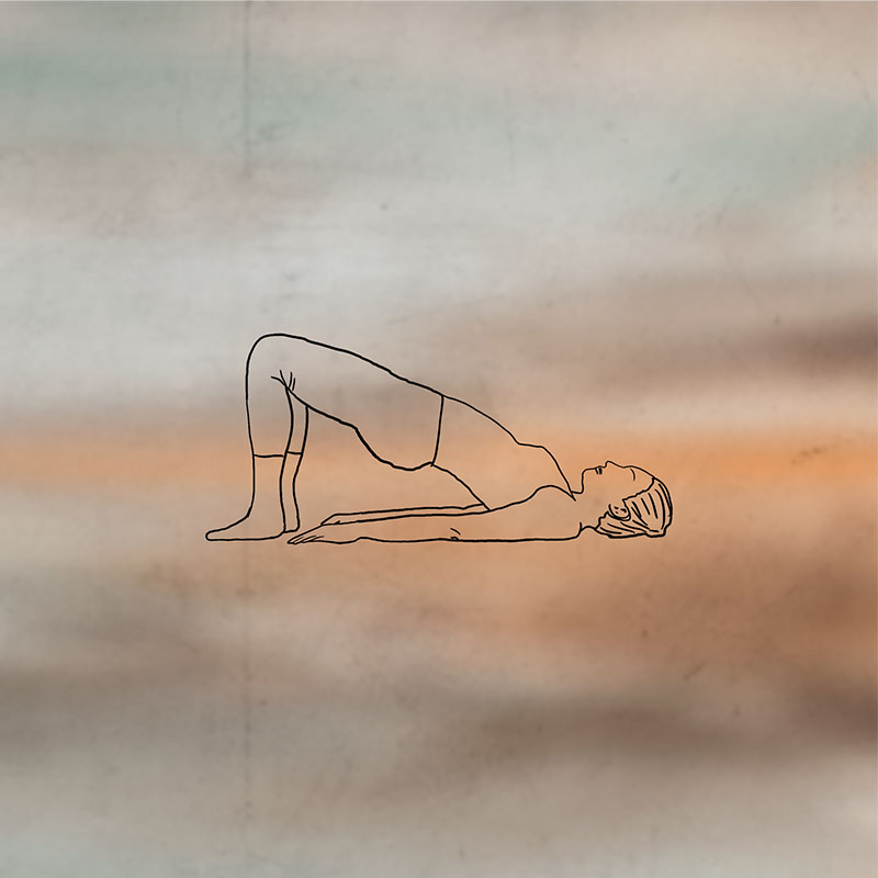 Illustration of a woman, doing the pilates excercice shoulder bridge