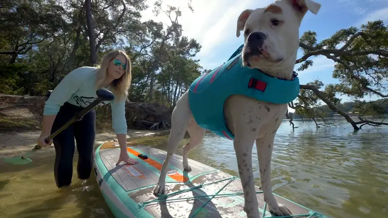 Breeze Aero SUP with a dog